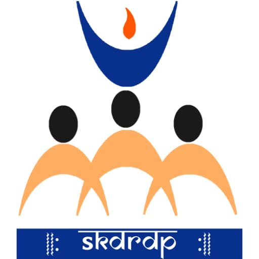 Partner 6